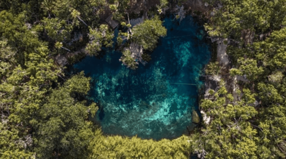 Explora el Cenote Corazón en Tulum: Una Joya Subacuática